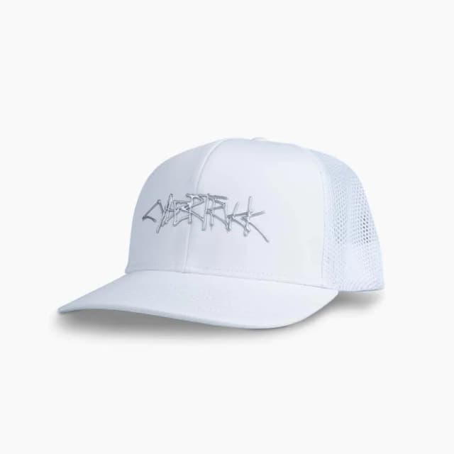 Relaxed T Logo Hat